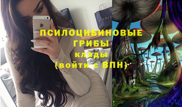 а пвп мука Вяземский