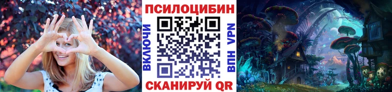 Купить Мценск Галлюциногенные грибы MAGIC MUSHROOMS